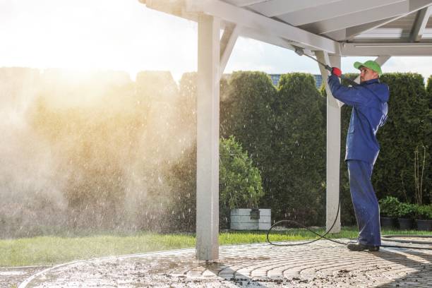Best Soft Washing  in Magnolia, NJ