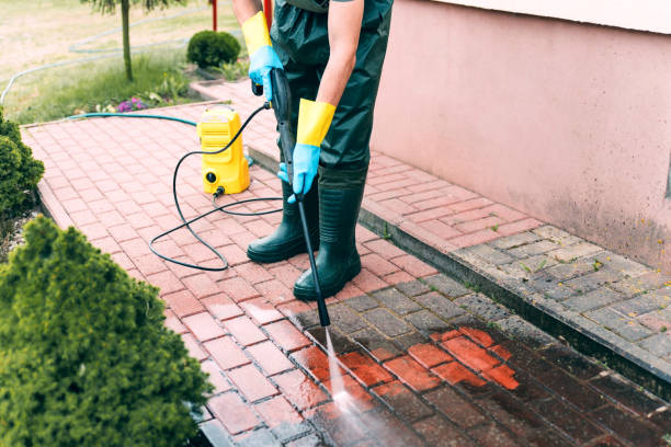 Best Playground Equipment Cleaning  in Magnolia, NJ