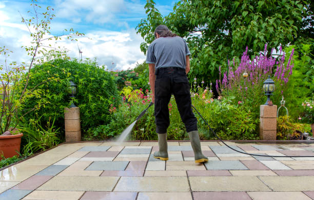 Animal Enclosure Cleaning in Magnolia, NJ